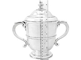 silver cup and cover size