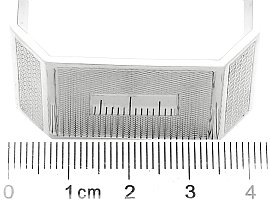 Napkin Ring with Ruler