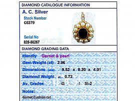 19th Century Garnet Pendant UK Grading Data 