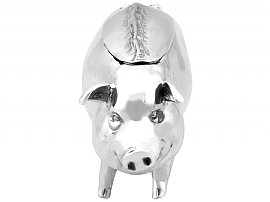 Silver Pig Vesta Case
