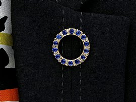 Wearing Image for Circle Sapphire Brooch Pin