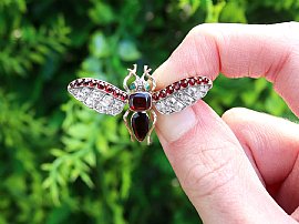 Antique Garnet Insect Brooch Outside