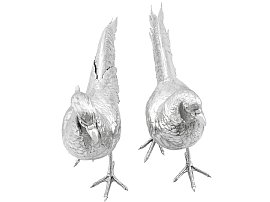 Large Silver Pheasants