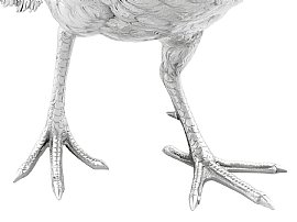 Large Silver Pheasants Feet