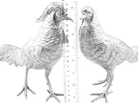 Large Silver Pheasants Size