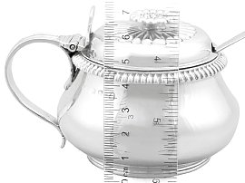 Rounded Silver Mustard Pot