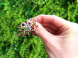 gemstone floral brooch outside
