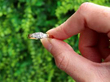 Gold and Diamond Ring Vintage