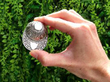 silver caddy spoon outside