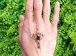 garnet pendant outside