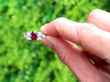 garnet diamond ring outside
