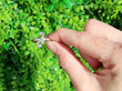 Dress Ring Outside