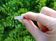 Diamond Ring Outside