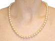 Single Strand Pearl Necklace wearing