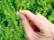 Gold Ring Outside