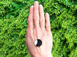 onyx pendant outside