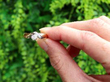 vintage solitaire twist ring outside