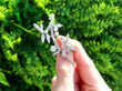 diamond floral brooch outside