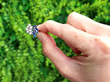 Sapphire Dress Ring Outside