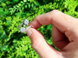 1920s Diamond Twist Engagement ring outside