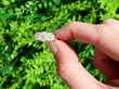 Old European Multi Diamond Ring outside