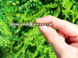 Antique Gold Bar Brooch with Diamonds outside