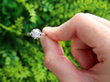 diamond solitaire ring outside