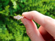 diamond ring outside