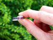 ruby and sapphire eternity ring outside