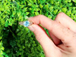 Aquamarine Ring Outside