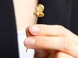 Art Nouveau pin