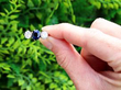 sapphire diamond trilogy ring outside