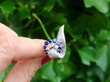 1950s Sapphire and Diamond Earrings Outside