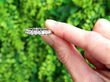 Eternity Ring Outside