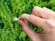 Solitaire Ring Outside