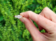 Solitaire Ring Outside