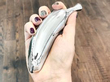antique Sterling Silver Banana Box
