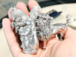 silver dog pepperettes in hand