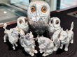 silver animals
