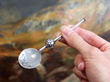 Silver Coronation Spoon