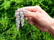 Ruby and Diamond Vine Shoot Brooch in Platinum Outside