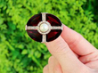 garnet brooch outside