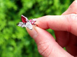 Pear Cut Ruby and Diamond Ring in White Gold outside