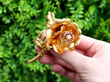 Gold Victorian Floral Brooch with Diamonds outside