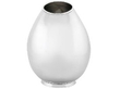 Silver Water Jug