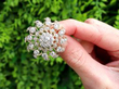 Antique Old European Cut Diamond brooch outside