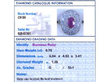 IDGL Grading Card