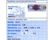 IDGL report card