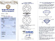 Grading Report