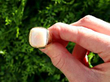 Mens Opal Ring Outside